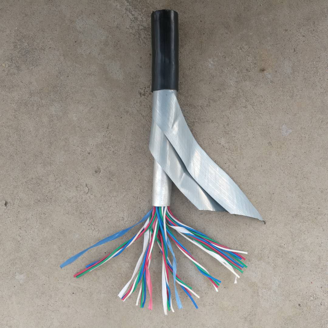 天津市津潤達(dá)線纜有限公司
PTYL23鋁護(hù)套電纜PTYA23鐵路信號(hào)電纜